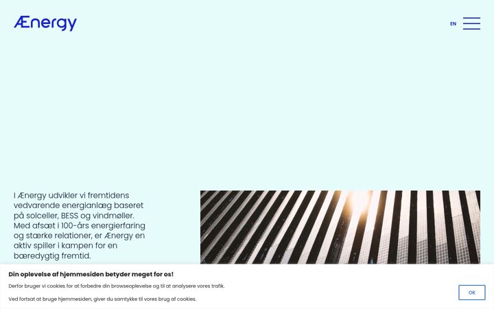 Screenshot of ae-nergy.dk