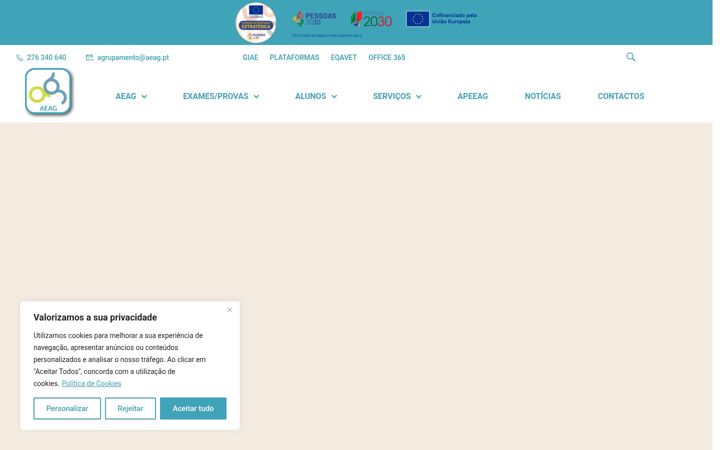 Screenshot of aeag.pt