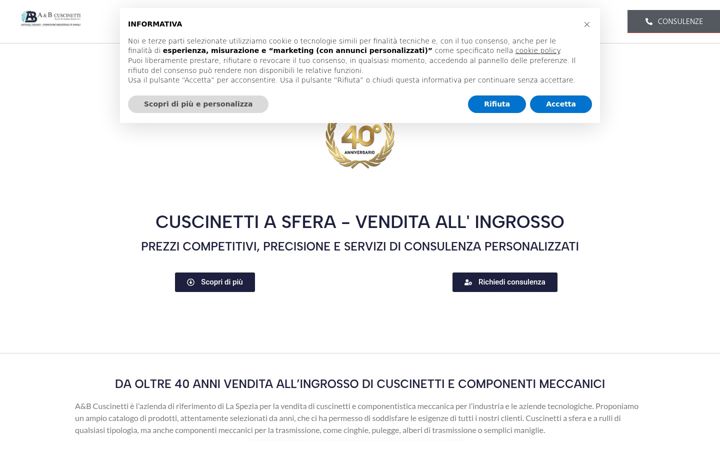 Screenshot of aebcuscinettisp.it