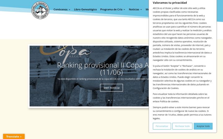 Captura de pantalla de aecca.es