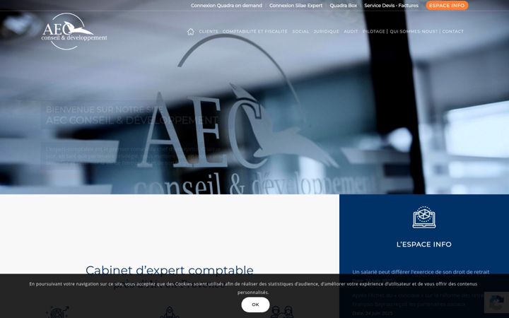 Posnetek zaslona aecconseil.fr