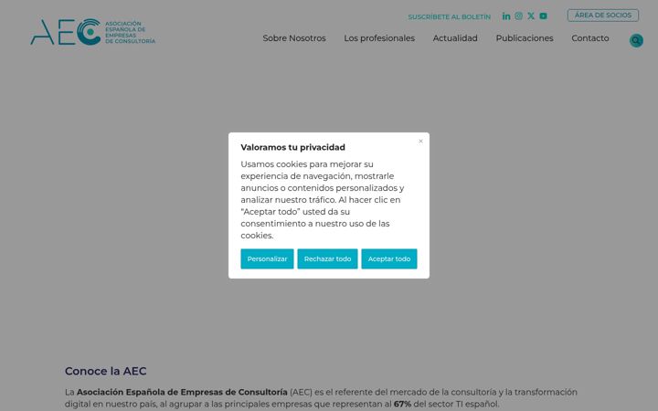Posnetek zaslona aecconsultoras.com