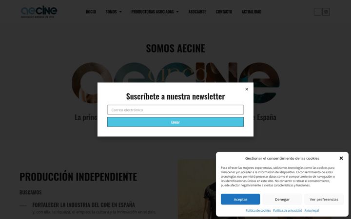 Screenshot of aecine.org