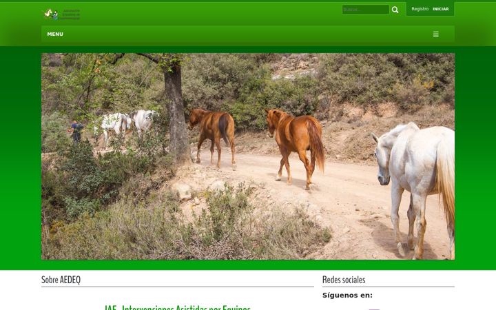 Screenshot of aedeq.org