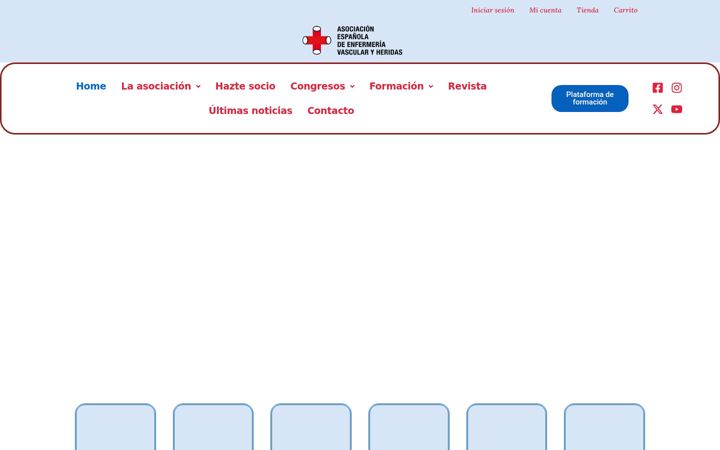 Zrzut ekranu aeevh.org