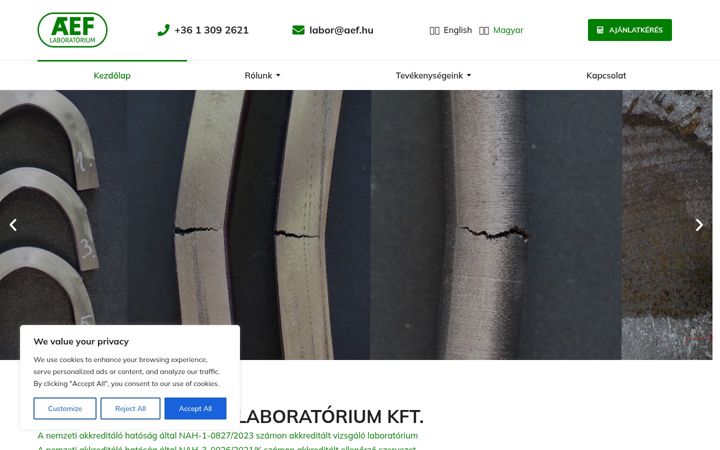 Zrzut ekranu aef.hu