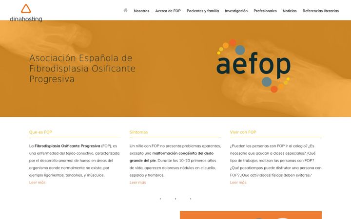 Screenshot of aefop-es.org