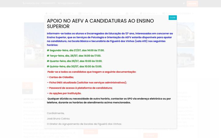 Screenshot of aefv.edu.pt