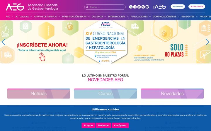 Screenshot of aegastro.es