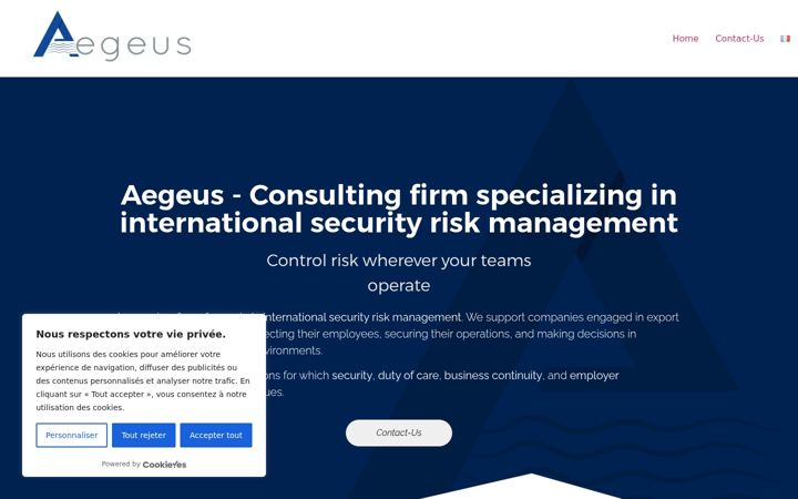 Zrzut ekranu aegeus-consulting.com