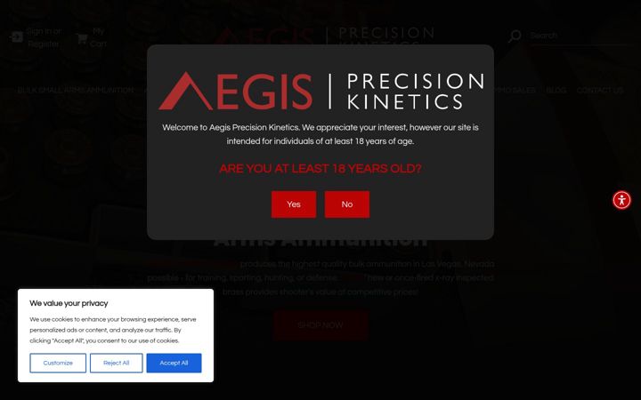 Zrzut ekranu aegis-kinetics.com