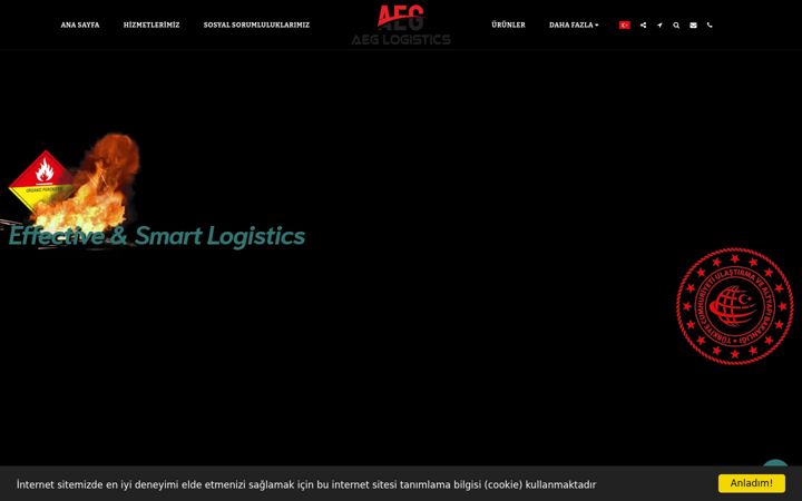 Screenshot of aeglogistics.com