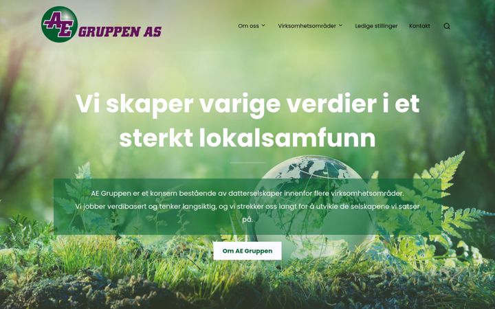 Screenshot of aegruppen.no