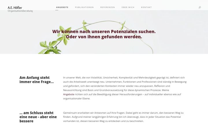 Screenshot of aehoefler.at