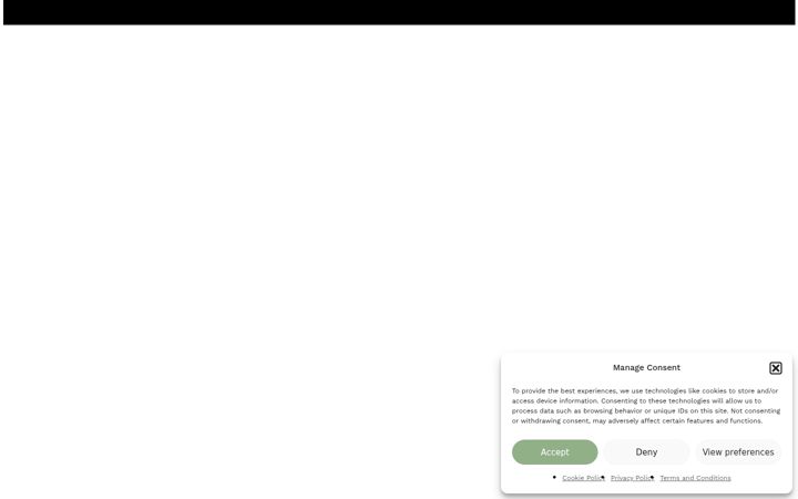 Snímek obrazovky aeliayou.com
