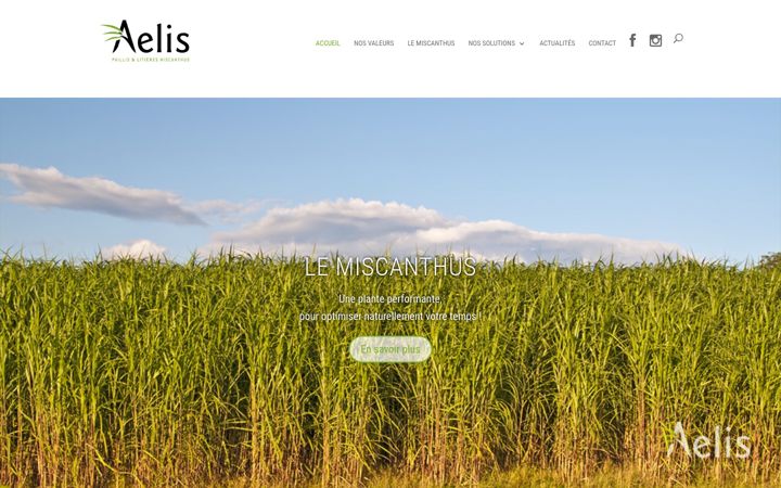 Screenshot von aelis-miscanthus.fr