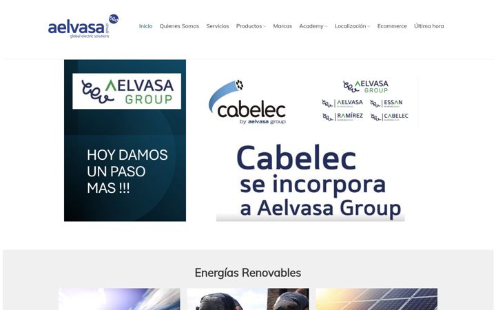 Screenshot of aelvasa.es