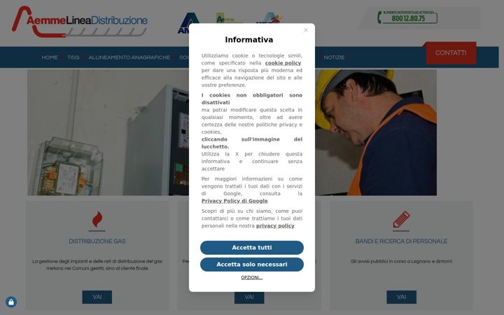 Screenshot of aemmelineadistribuzione.it
