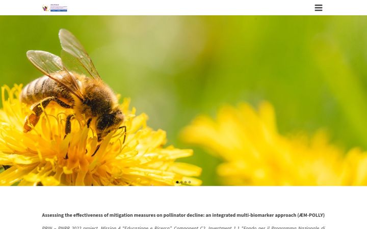 Screenshot of aempolly.unisi.it