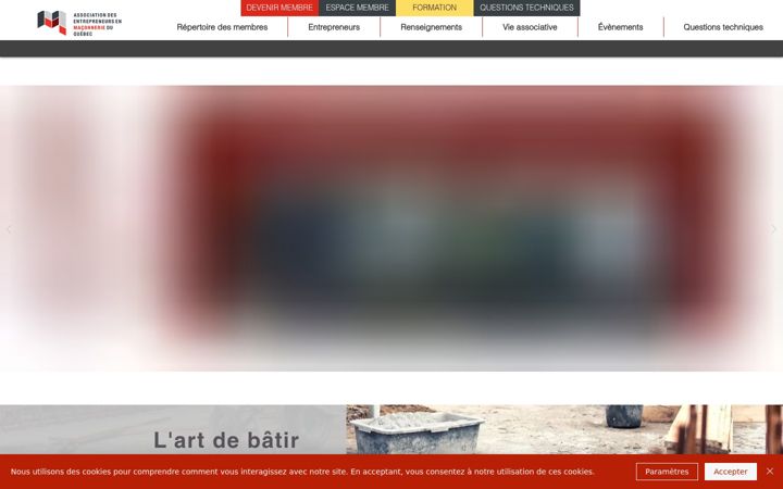 Zrzut ekranu aemq.com