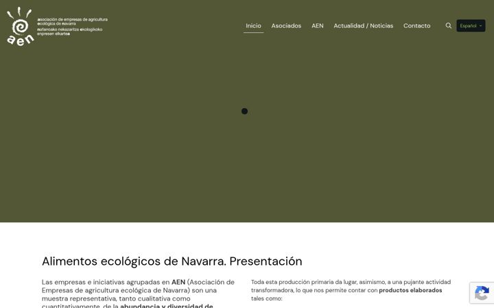 Screenshot von aenavarra.com