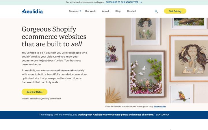 Screenshot of aeolidia.com