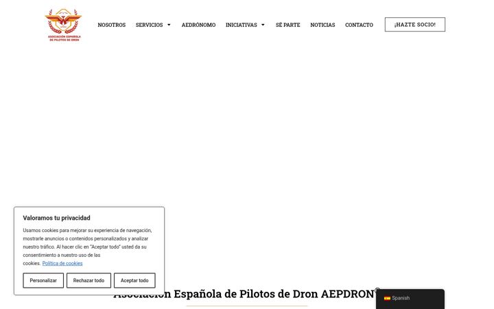 Screenshot of aepdron.com