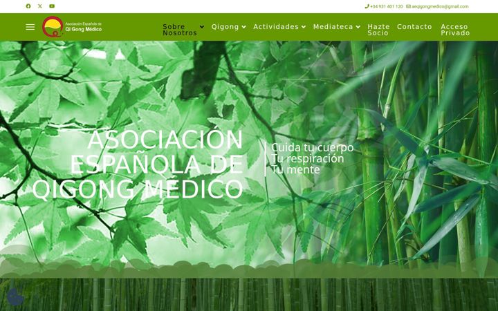 Screenshot of aeqigongmedico.es
