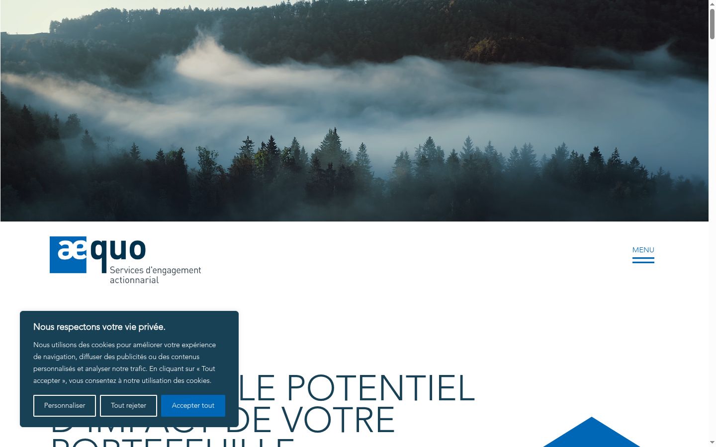Screenshot of the consent banner shown before any interaction