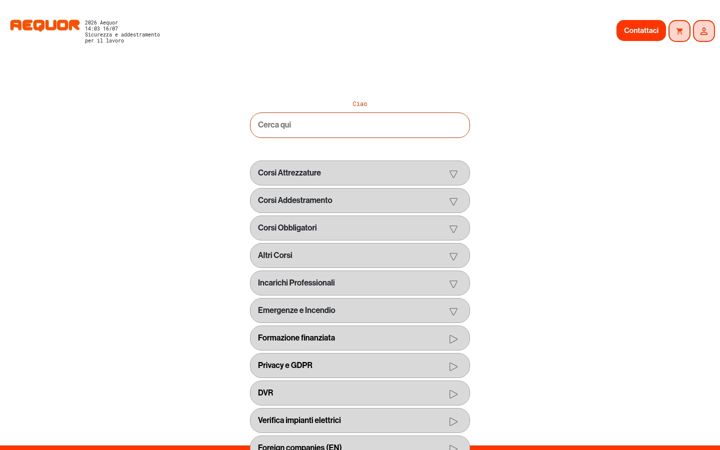 Captura de pantalla de aequorsicurezza.net