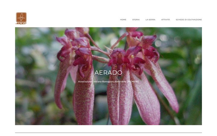 Screenshot of aerado.altervista.org