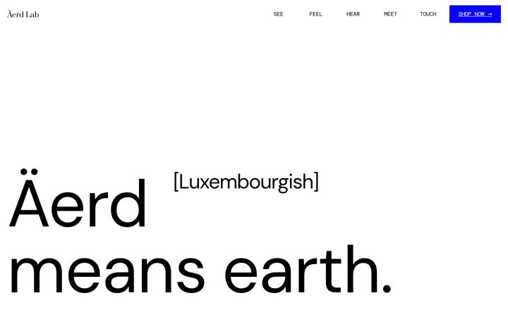 Screenshot von aerdlab.com