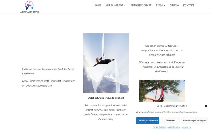 Snímek obrazovky aerial-sports.at