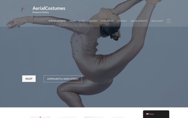 Screenshot of aerialcostumes.pl