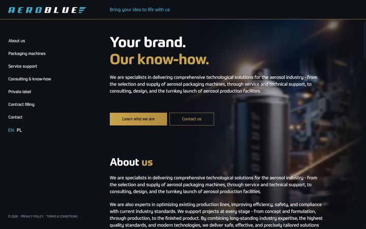 Screenshot of aeroblue.eu