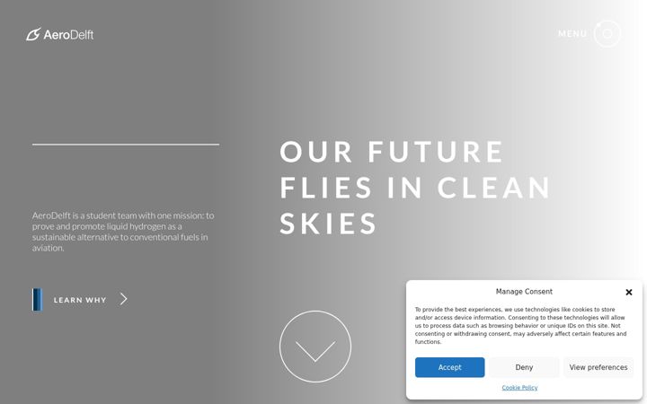 Screenshot of aerodelft.nl