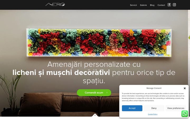 Screenshot stránky aerodesign.ro