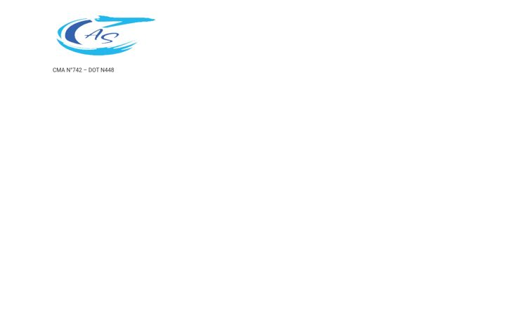 Екранна снимка на aeronauticalservice.cl