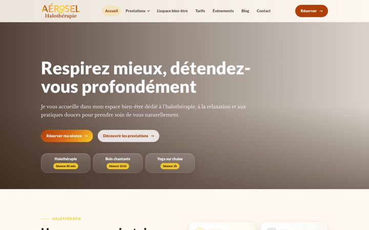 Zrzut ekranu aerosel.fr