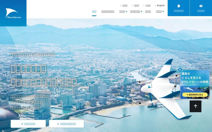 Zrzut ekranu aerosense.co.jp