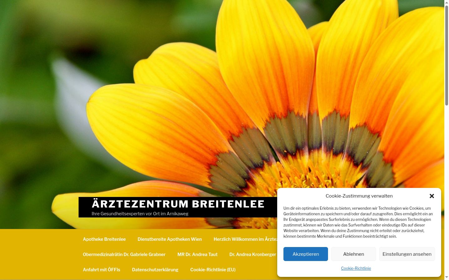 Screenshot of the consent banner shown before any interaction