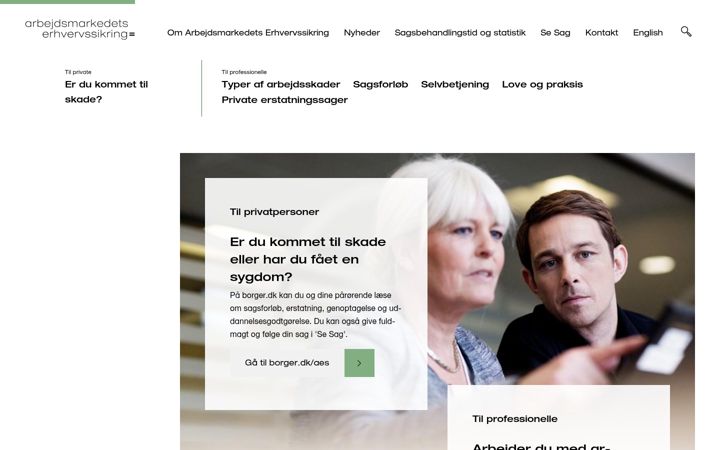 Screenshot of aes.dk