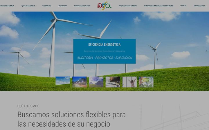 Screenshot of aesaenergia.es