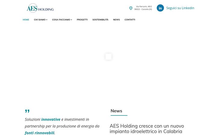 Screenshot of aesholding.com