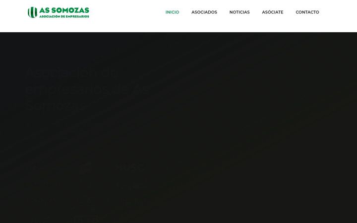 Screenshot of aesomozas.org