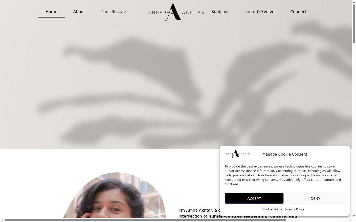Screenshot of the consent banner shown before any interaction