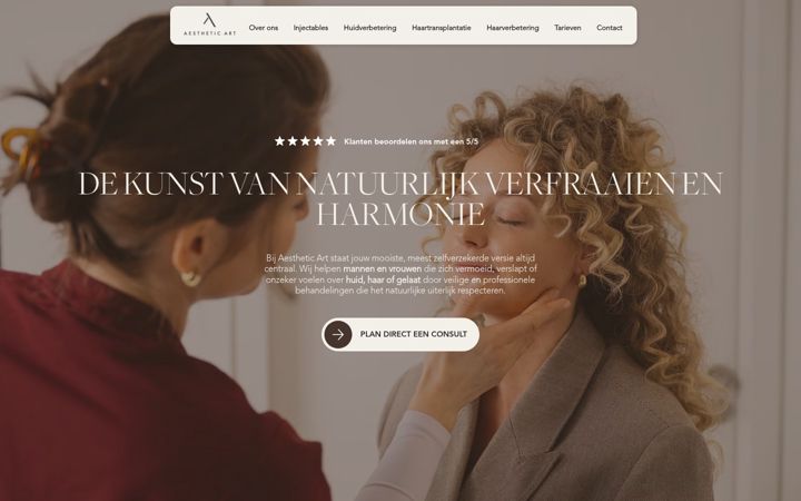 Screenshot ta' aestheticart.nl