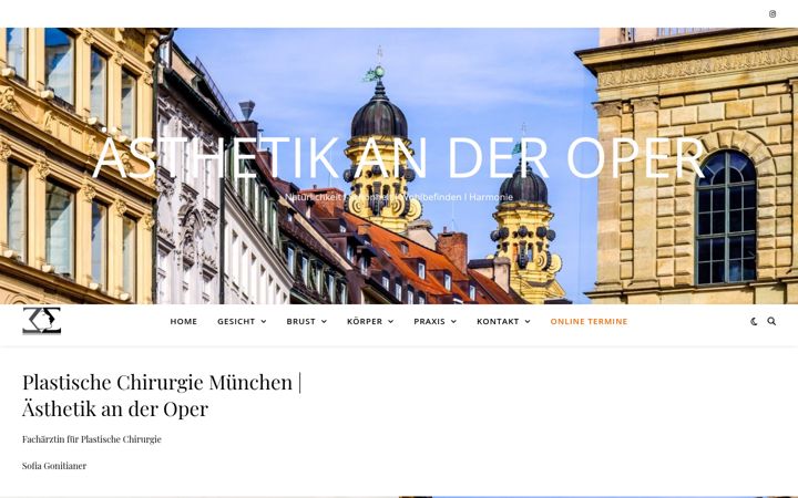Screenshot of aesthetik-an-der-oper.de