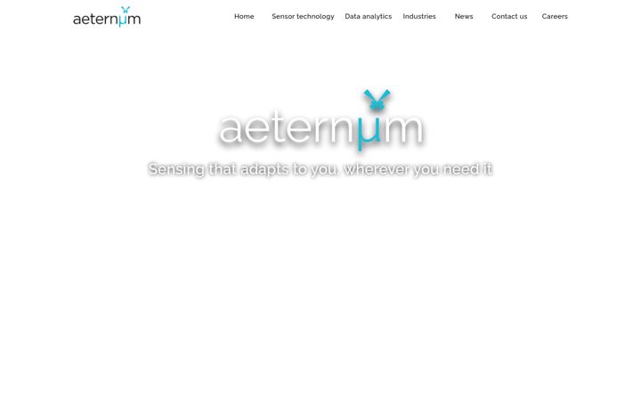 Screenshot of aeternum.co