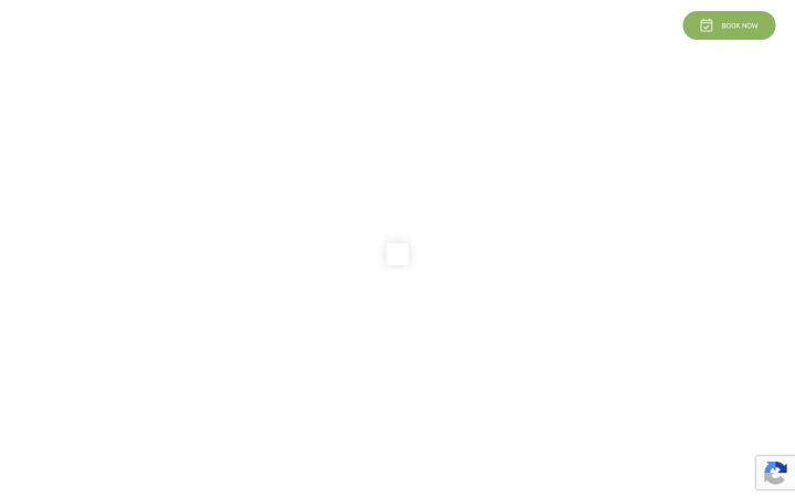 Screenshot von aetofoliavilla.com